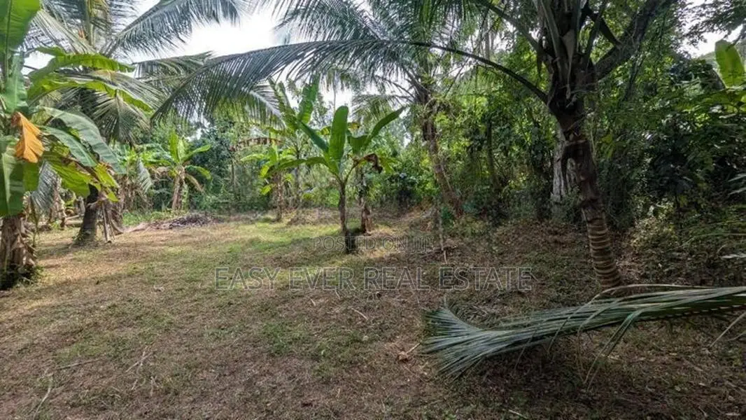 Lands for Sale in Kalagedihena