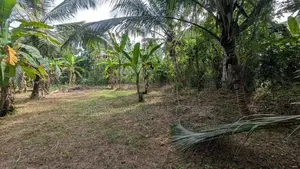 Lands for Sale in Kalagedihena