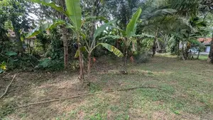Lands for Sale in Kalagedihena