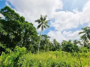 මීරිගම ඉදිපරපෙ ප්‍රදේශයෙන් වටිනා ඉඩමක්