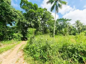 මීරිගම ඉදිපරපෙ ප්‍රදේශයෙන් වටිනා ඉඩමක්