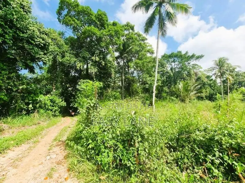මීරිගම ඉදිපරපෙ ප්‍රදේශයෙන් වටිනා ඉඩමක්