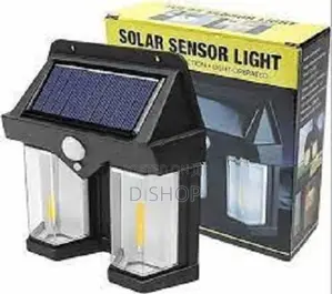 Solar lamp - Interaction Wall Light with Sensor Wireless Double LED