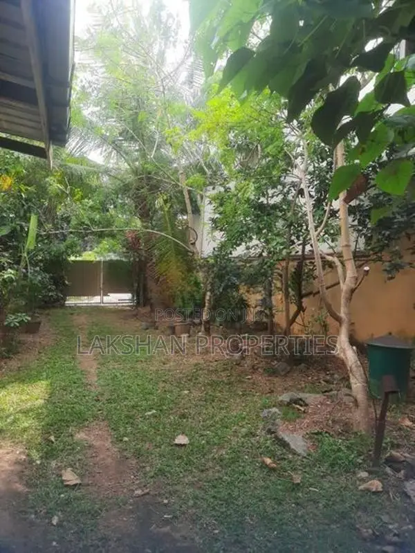 Land For Sale In Raththanapitiya