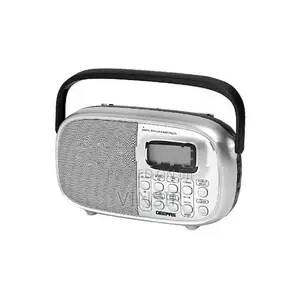 Geepass Mini Radio