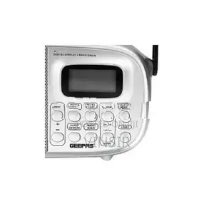 Geepass Mini Radio
