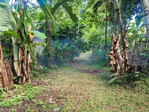 Land for Sale in Nittambuwa