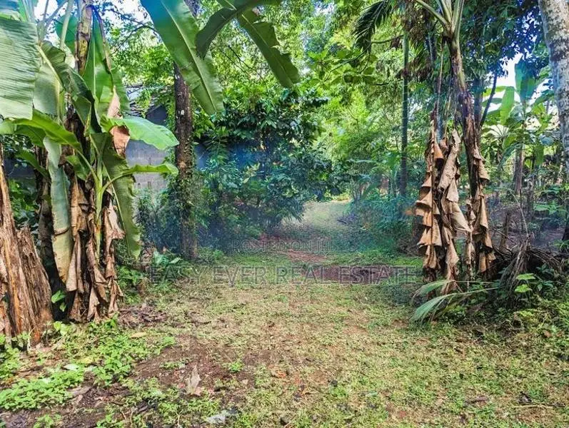 Land for Sale in Nittambuwa