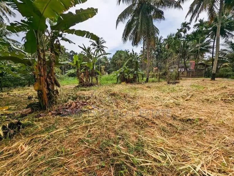 කොළඹ,නුවර ප්‍රධාන මාර්ගයට 2km දුරින් වටිනා බිම් කොටසක්