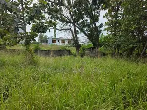 41 Perches Land Sale in Dehiwala