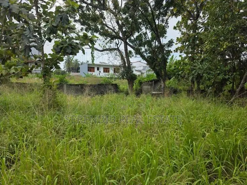 41 Perches Land Sale in Dehiwala