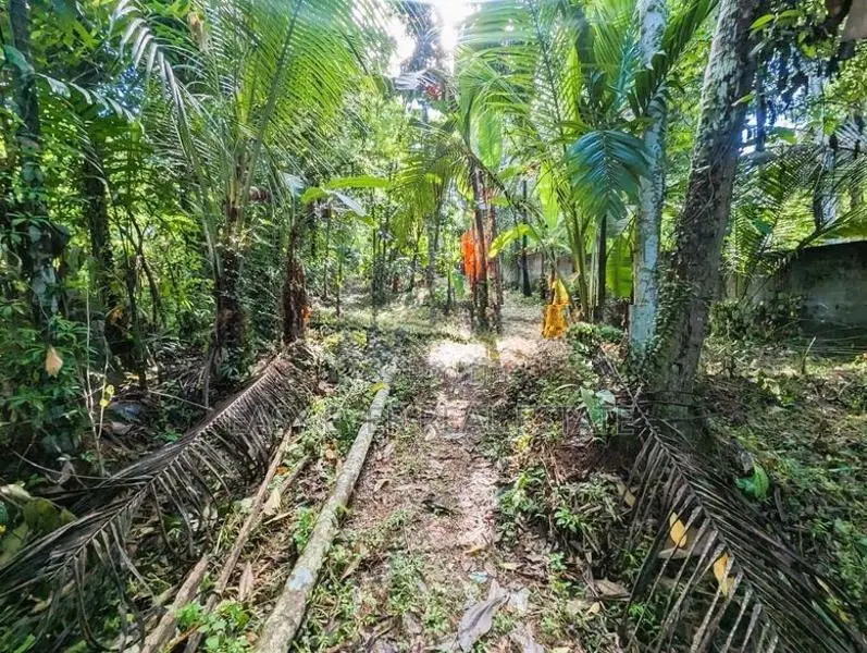 Land for Sale in Nittambuwa