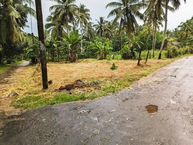 කොළඹ,නුවර ප්‍රධාන මාර්ගයට 2km දුරින් වටිනා බිම් කොටසක්