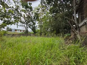 41 Perches Land Sale in Dehiwala