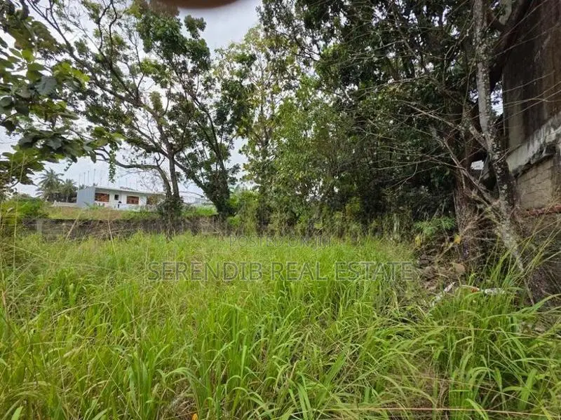 41 Perches Land Sale in Dehiwala