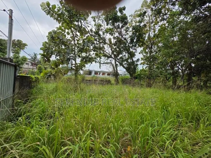 41 Perches Land Sale in Dehiwala