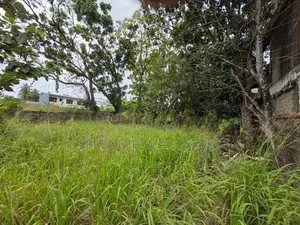 41 Perches Land Sale in Dehiwala