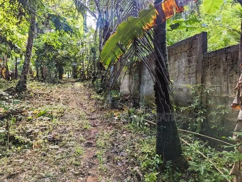 Land for Sale in Nittambuwa