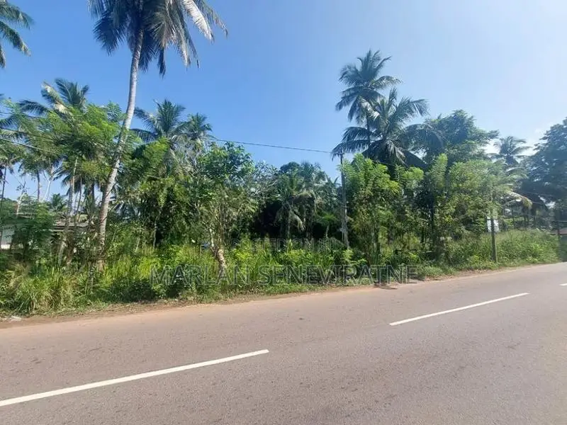 Valuable Land for Sale Near Weliveriya Town