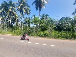 Valuable Land for Sale Near Weliveriya Town
