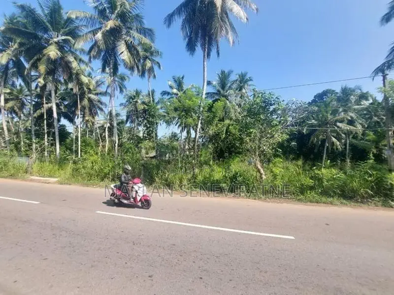 Valuable Land for Sale Near Weliveriya Town