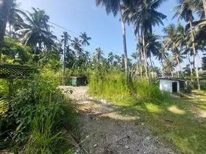 Valuable Land for Sale Near Weliveriya Town