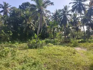 Valuable Land for Sale Near Weliveriya Town