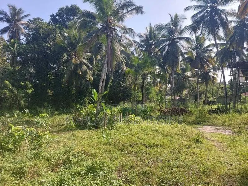 Valuable Land for Sale Near Weliveriya Town
