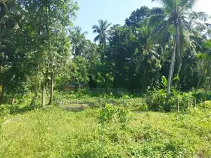 Valuable Land for Sale Near Weliveriya Town