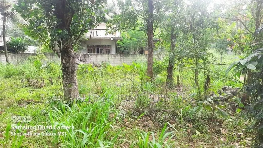 valuable Land for sale in waligampitya Gurugea Road