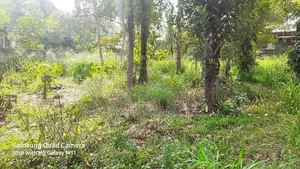 valuable Land for sale in waligampitya Gurugea Road