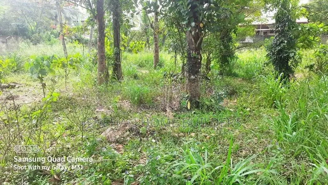 valuable Land for sale in waligampitya Gurugea Road