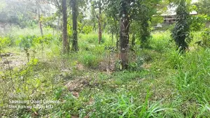 valuable Land for sale in waligampitya Gurugea Road