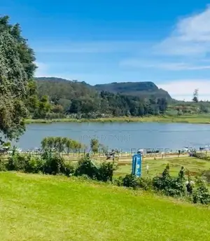 (AF635) Gregory Lake Water Front 145p bare land for sale in Nuwaraeliy