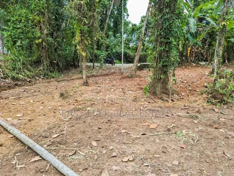 යාගොඩ දුම්රිය ස්ථානයට මීටර් 250 ක දුරින් නේවාසික බිම්කොටසක්