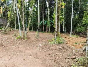 යාගොඩ දුම්රිය ස්ථානයට මීටර් 250 ක දුරින් නේවාසික බිම්කොටසක්