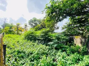 (AF647) 10 P Land Sale At Colomba Thanthree Mawatha Ethulkotte