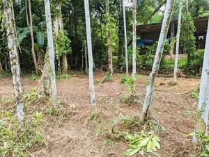 යාගොඩ දුම්රිය ස්ථානයට මීටර් 250 ක දුරින් නේවාසික බිම්කොටසක්