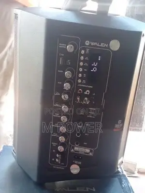 Walen Speaker 8” (WL-SSARC101)
