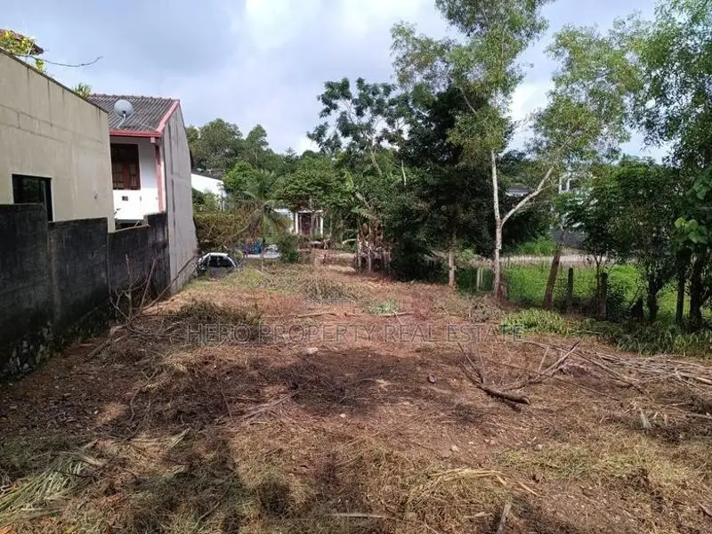 19P Valuable Land for Sale in Athurugiriya