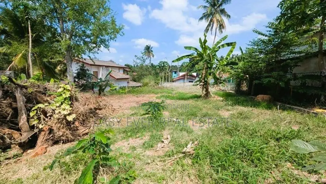 ගම්පහ මිනුවන්ගොඩ මාර්ගයට 100m බිම් කොටස් විකිනීමට