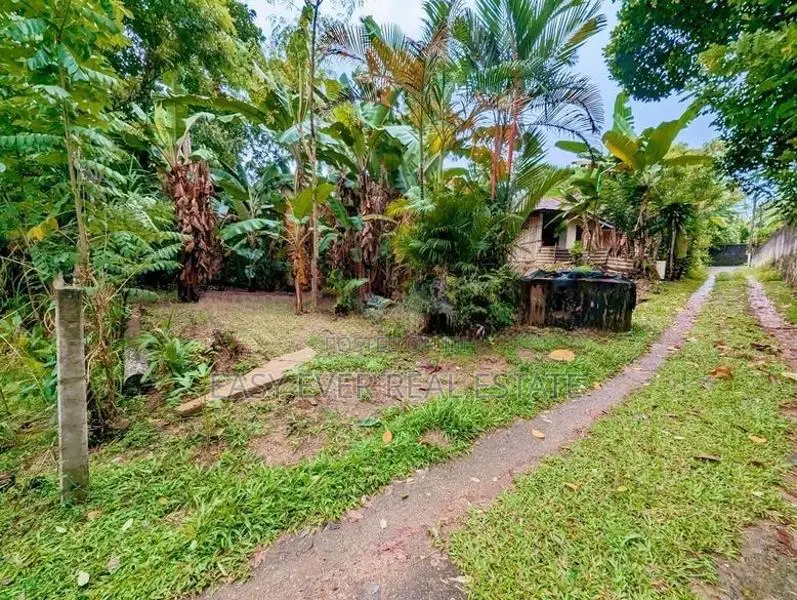 ගම්පහ ශ්‍රී බෝධි පාර පර්චස් 12 ක වටිනාකමක් ඇති ඉඩමක්