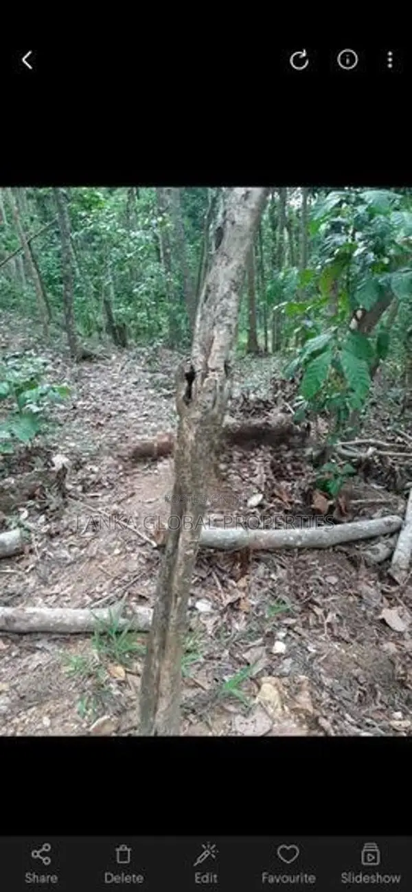 Land in Kandy