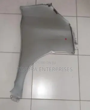 Nissan Days Roox B45 a Fender Lh