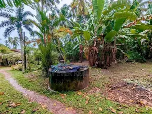 ගම්පහ ශ්‍රී බෝධි පාර පර්චස් 12 ක වටිනාකමක් ඇති ඉඩමක්