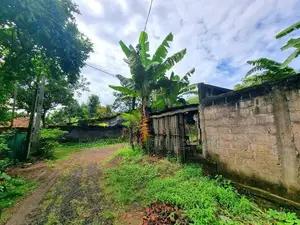 Land for Sale in Gampaha