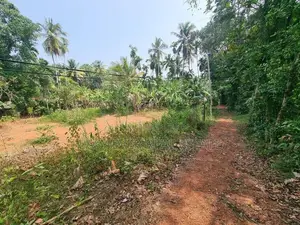 Land for Sale in Minuwangoda