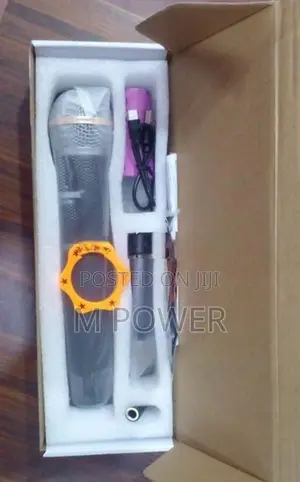 Weisre Wireless Mic (DM-581)