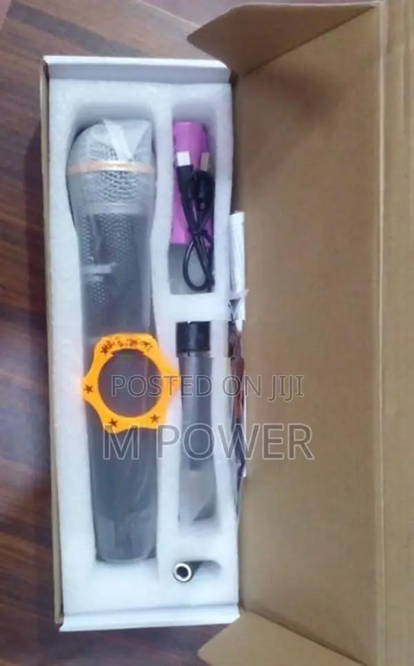 Weisre Wireless Mic (DM-581)