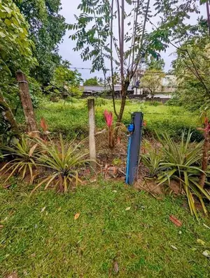 ගම්පහ ශ්‍රී බෝධි පාර පර්චස් 12 ක වටිනාකමක් ඇති ඉඩමක්